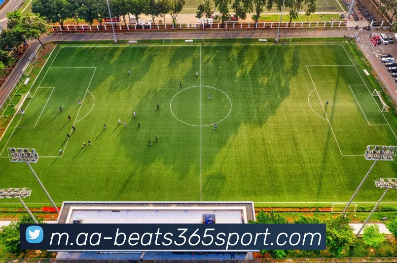 beats365体育平台生态图